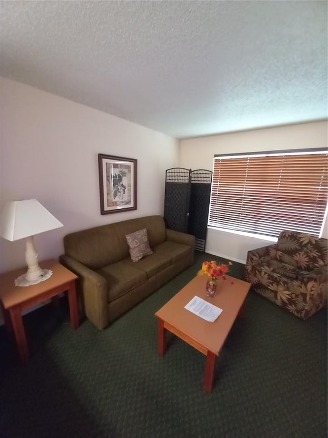 living room with a textured ceiling and carpet floors