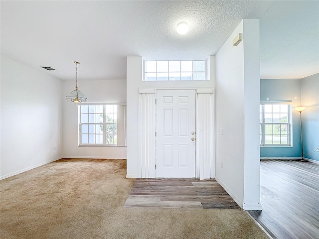 foyer featuring a textured ceiling, a wealth of natural light, and light hardwood / wood-style floors