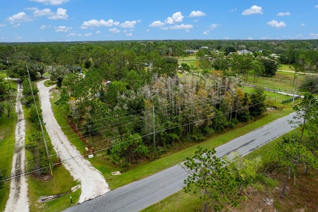 Starry, Orlando, FL 32833 - photo 8