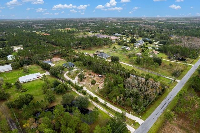 Starry, Orlando, FL 32833 - photo 9