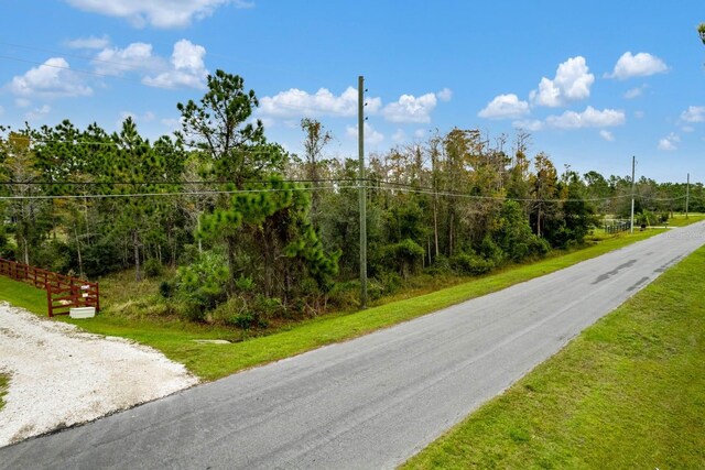 Starry, Orlando, FL 32833 - photo 14