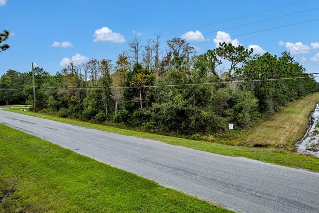 Starry, Orlando, FL 32833 - photo 15