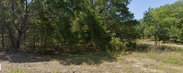 1606 E Artesian Ln, Dunnellon, FL 34434 - photo 1