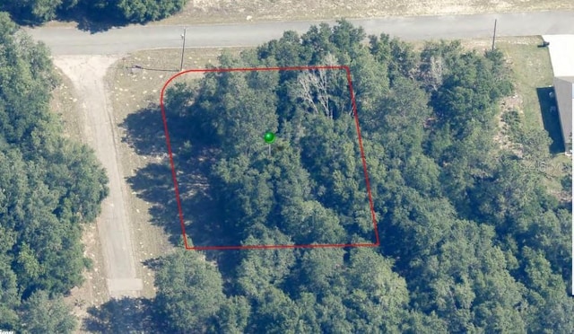 1606 E Artesian Ln, Dunnellon, FL 34434 - photo 2