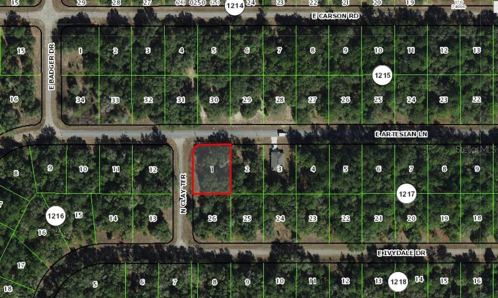 1606 E Artesian Ln, Dunnellon, FL 34434 - photo 3