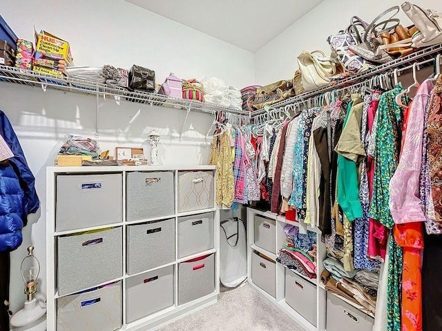 view of spacious closet