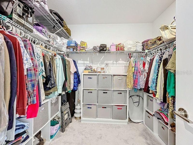 spacious closet featuring light colored carpet