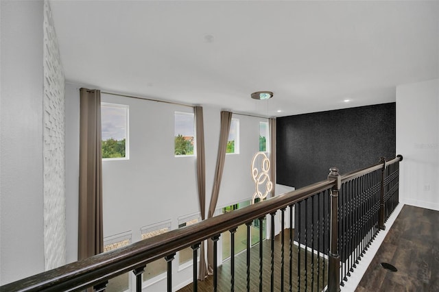 hall featuring wood-type flooring and a wealth of natural light