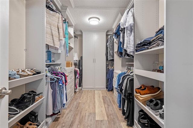 spacious closet featuring light hardwood / wood-style flooring