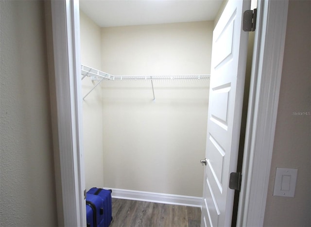 walk in closet featuring dark wood-type flooring