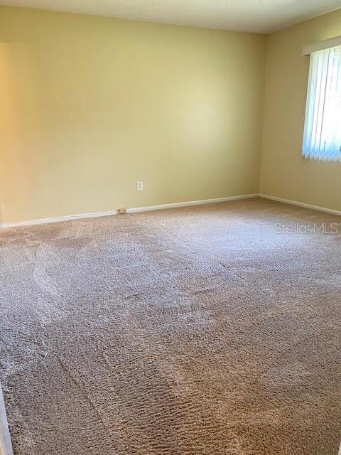 empty room featuring carpet