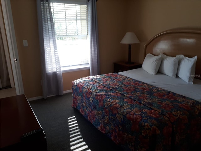 carpeted bedroom with multiple windows