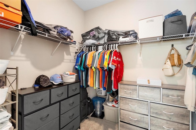 spacious closet featuring carpet flooring