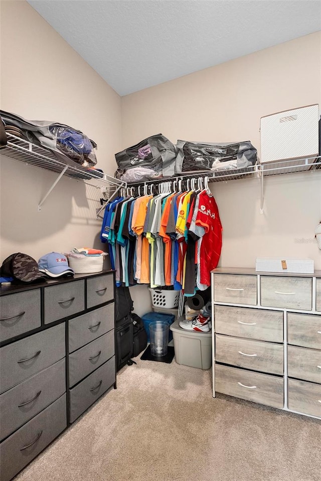 walk in closet with carpet flooring