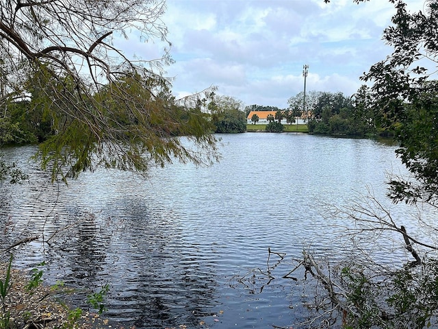 view of water feature