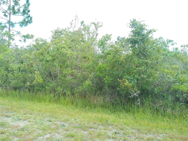 309 Camellia Dr, Indian Lake Estates, FL 33855 - photo 2