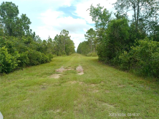 309 Camellia Dr, Indian Lake Estates, FL 33855 - photo 4
