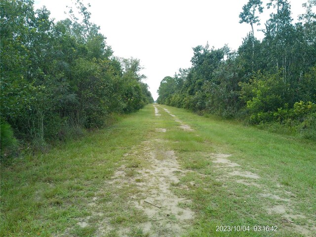 309 Camellia Dr, Indian Lake Estates, FL 33855 - photo 5