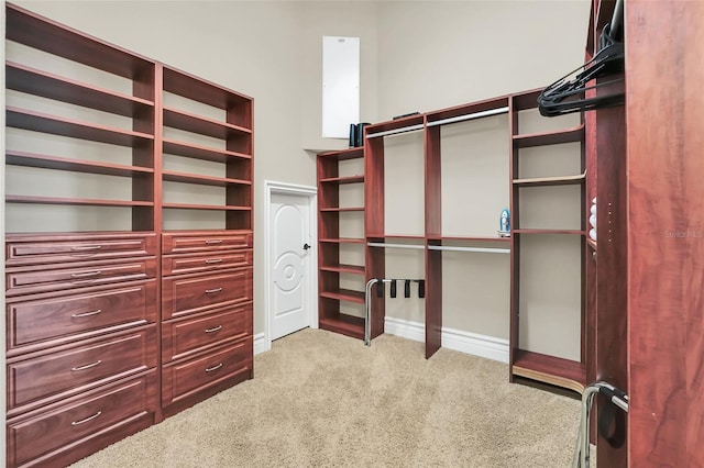 spacious closet with carpet flooring