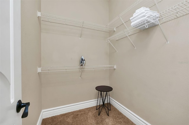 spacious closet featuring carpet floors