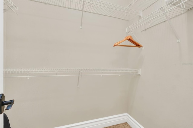 view of spacious closet