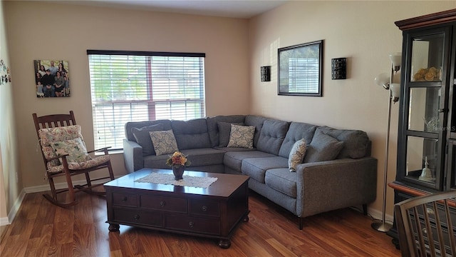 living room with dark wood-type flooring