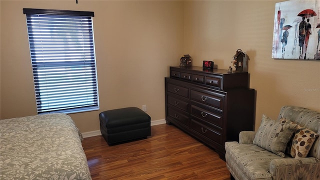 sitting room featuring dark hardwood / wood-style floors