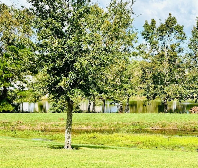 view of yard featuring a water view