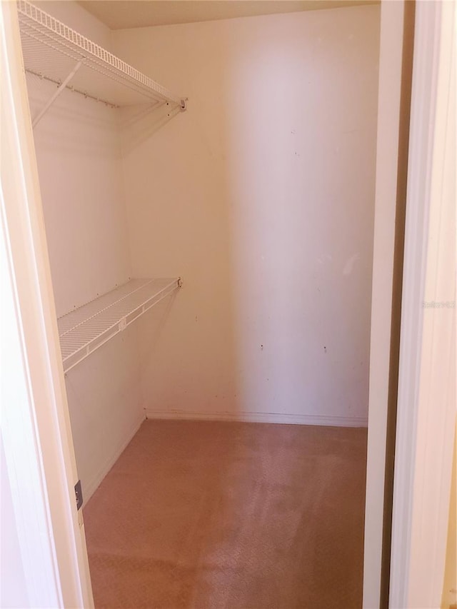 walk in closet with carpet