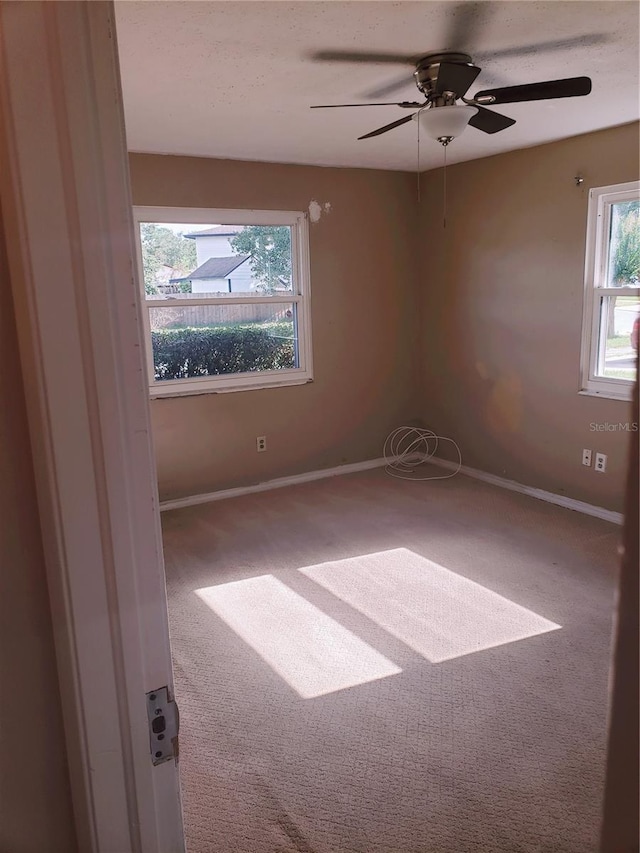 empty room featuring ceiling fan and carpet flooring