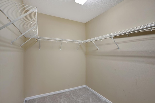 spacious closet with carpet floors