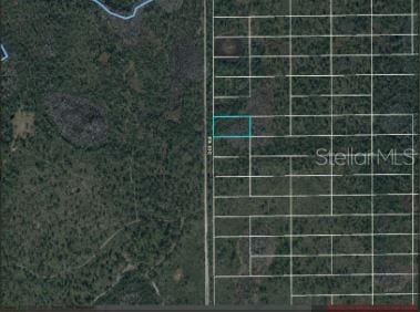 2307 Dill Rd, Orlando, FL 32820 - photo 5