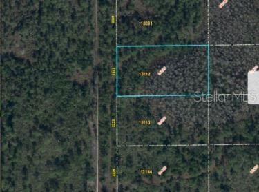 2307 Dill Rd, Orlando, FL 32820 - photo 6