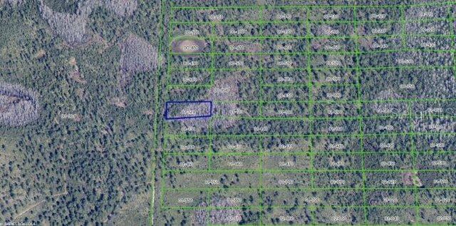 2307 Dill Rd, Orlando, FL 32820 - photo 7