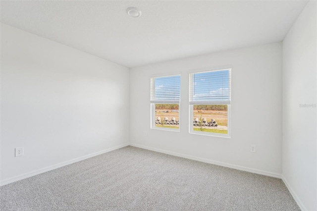 empty room featuring carpet