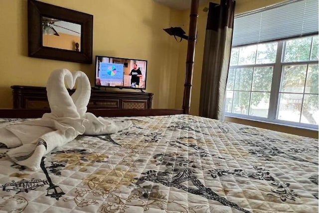 bedroom with multiple windows