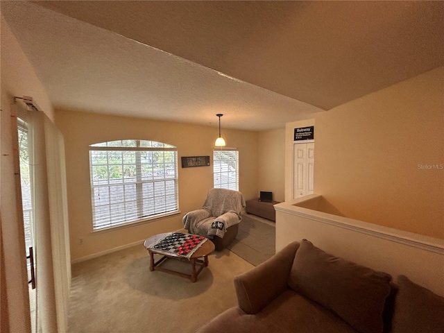 living room with carpet floors and a textured ceiling