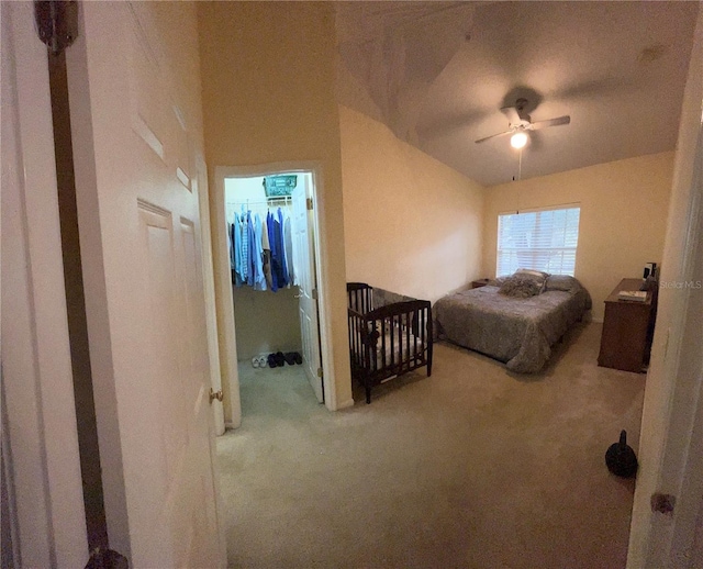 bedroom with a spacious closet, ceiling fan, carpet floors, and a closet