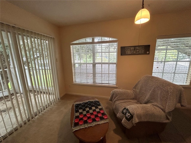 sitting room featuring carpet floors and a wealth of natural light