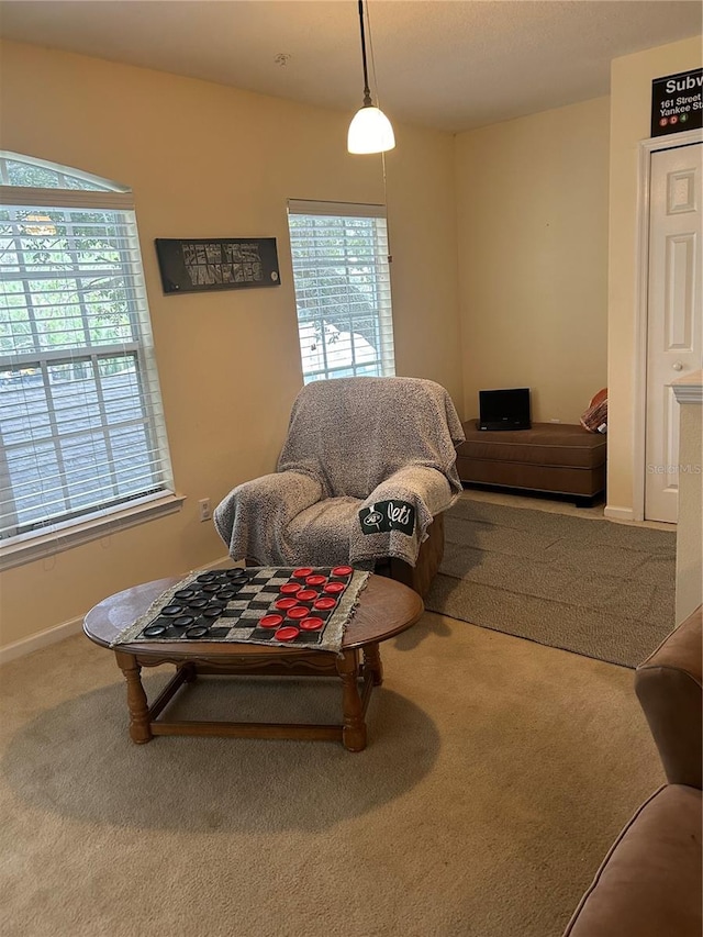 living room featuring carpet