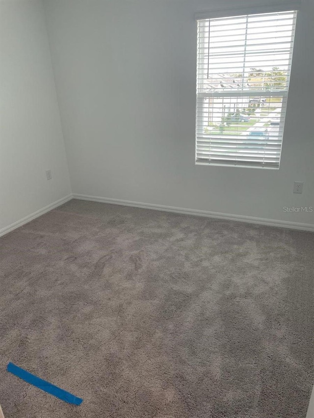 empty room featuring carpet