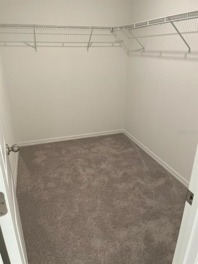 153 Mandovi St, Davenport, FL 33837 - walk in closet with carpet