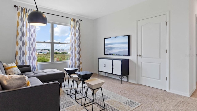 carpeted living room with plenty of natural light