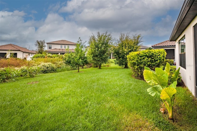 3951 Carrick Bend Dr, Kissimmee, FL 34746 - view of yard