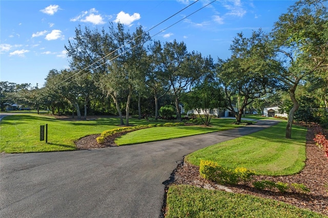 surrounding community featuring a yard