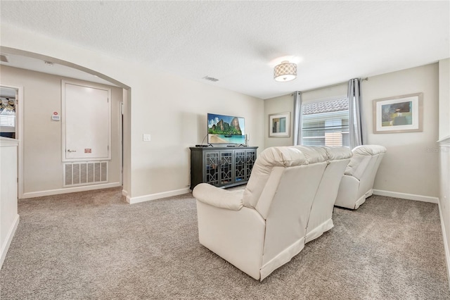 carpeted living room featuring a textured ceiling