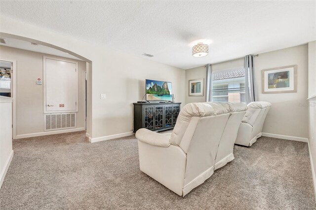 4782 Kings Castle Cir, Kissimmee, FL 34746 - living room featuring light carpet, a textured ceiling, baseboards, and arched walkways