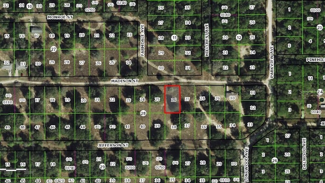 2211 Madison St, Inverness FL, 34453 land for sale