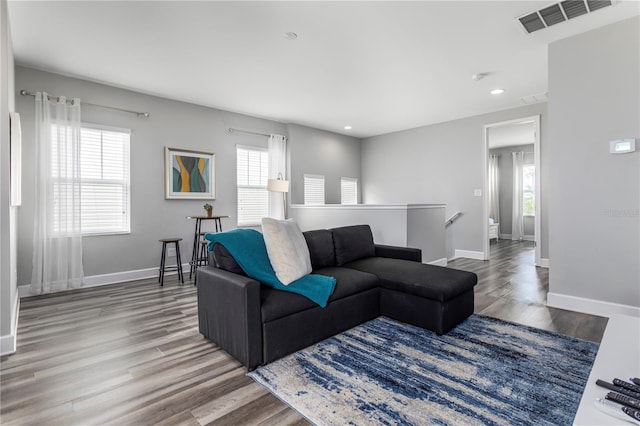 living room with wood-type flooring and a wealth of natural light