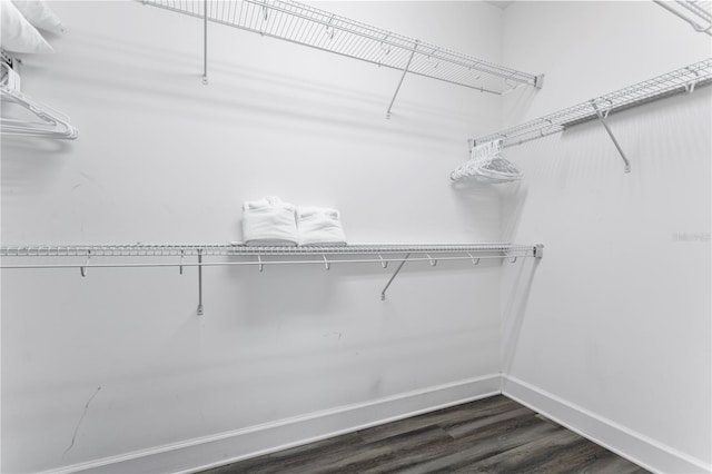 spacious closet with dark wood-type flooring